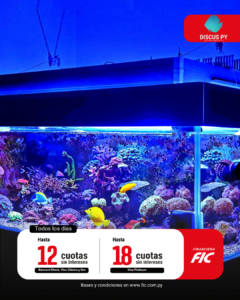 12 y 18 cuotas sin intereses con Acuario Discus